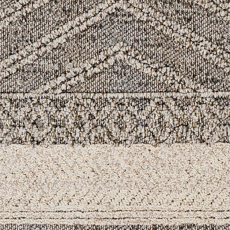 Areli Beige / Brown Outdoor Rug
